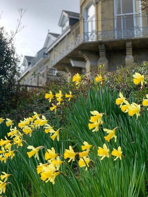 1 Bed Apartment - Sea View Shanklin Exterior photo